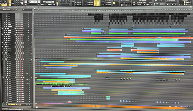 PaleonTology Trackview